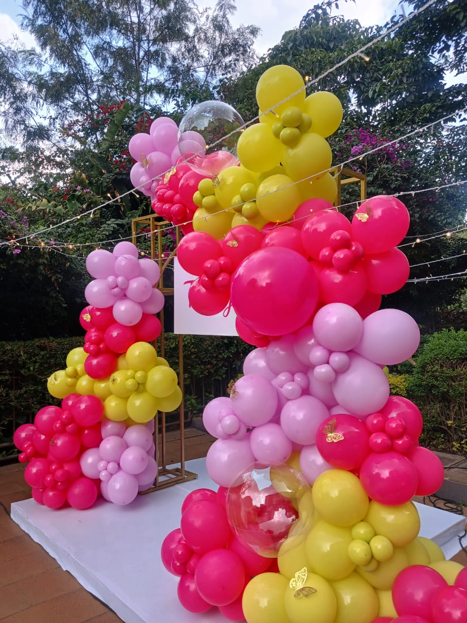 Balloon Wonder